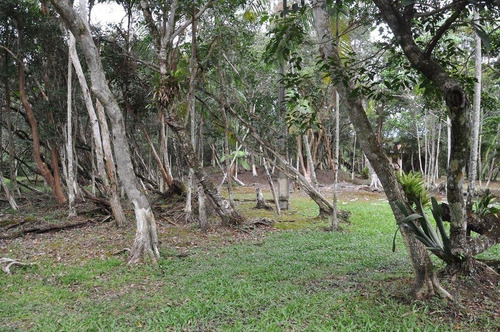 Imagem 23 de 30 de Para Locação Fixa Anual No Condomínio Green Village - Boqueirão Sul Da Ilha Comprida (cananéia) - Litoral Sul De Sp - 0412 - 32622587