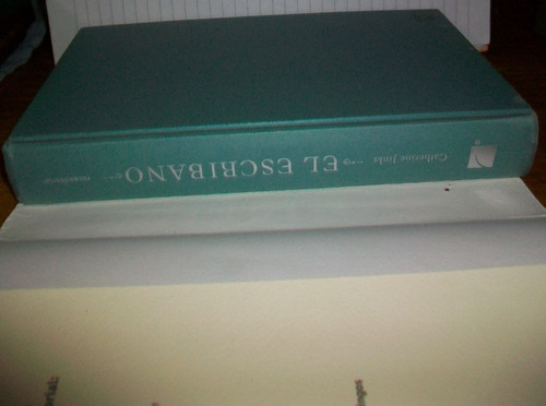 Libro El Escribano - Catherine Jinks Tapa Dura Excelente (Usado)