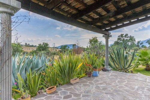 Imagen 3 de 26 de Casa Verde - Turnkey