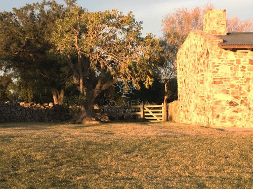 Imagen 2 de 11 de Chacra En Sierra De Los Caracoles - Zona Rural - Pueblo Eden