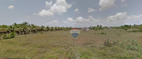 Terreno À Venda, 3600 M² Por R$ 960.000 - Zona Rural - Nísia Floresta/rn - Te0005