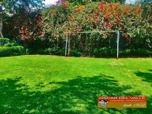 Imagen 4 de 13 de Único Terreno En Venta, Jardines Del Pedregal