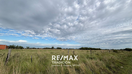 Terrenos En Venta En Departamento Libertad 720m2