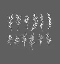Comprar Vinilos Decorativos Kit De Hojas Naturaleza Deco Plantas