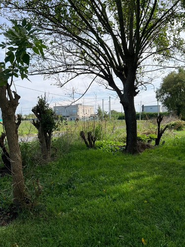Imagen 9 de 10 de Lote En Venta, Calle 480 E/135 Y 135 Bis, Gorina