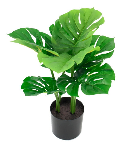 Plantas Artificiales Decorativas Costilla De Adán 60cm 