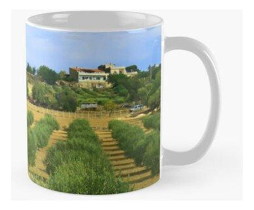 Taza Vista Panorámica Del Campo Agrícola Calidad Premium