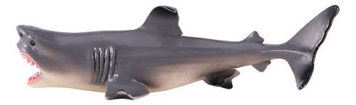 Adorable Modelo Educativo Con Diseño De Tiburón, Modelo De P