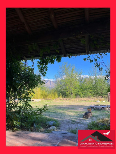 Excelente Oportunidad 5 Hectáreas Y 2 Casas S/ruta