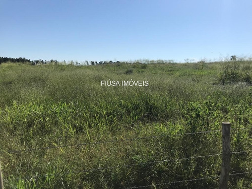 Imagem 10 de 11 de Fazenda - Fa00003 - 69374597