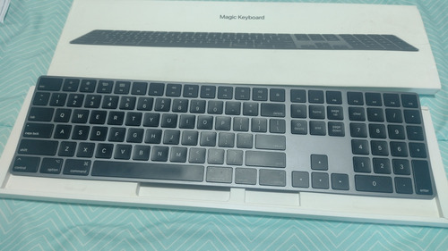 Teclado Apple Magic Keyboard Modelo A1843 Gris Naval Usado++