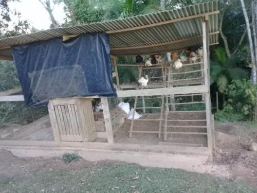 Chácara No Litoral Com 3 Dormitórios Em Itanhaém/sp 7062-pc