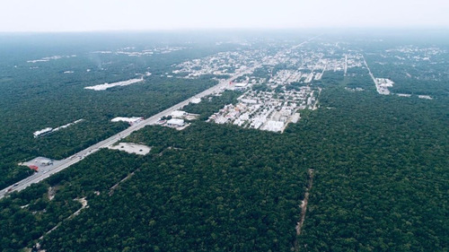 Imagen 6 de 18 de Terreno En Venta En Carretera Tulum - Cancún Cerca De La Ciudad Y De La Playa - Bak