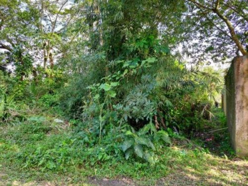 Imagem 3 de 5 de Terreno Com 1000m² A Venda Em Itanhaem - Tropical