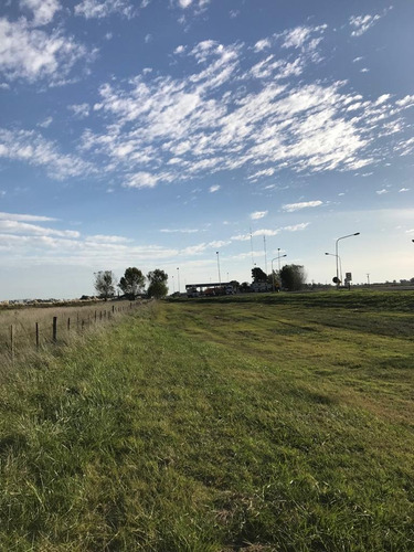 #venta Campo 6 - Fracción 4.38 Has En Uribelarrea - Cañuelas
