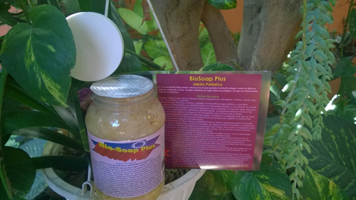 Extracto De Neem, Jabón Potásico Y Bacillus Thuringiensis