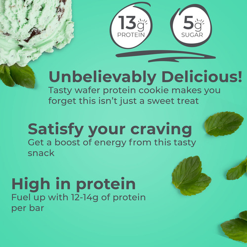 Protein Bar Original Chocolate Mint 40 Grams (case Of 12) By