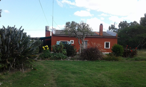 Campo Agricola En Colonia Wilson De 10 Hás