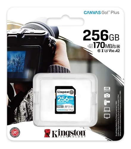 Sdg3/256gb Memoria Sd Canvas Go Plus 256 Gb