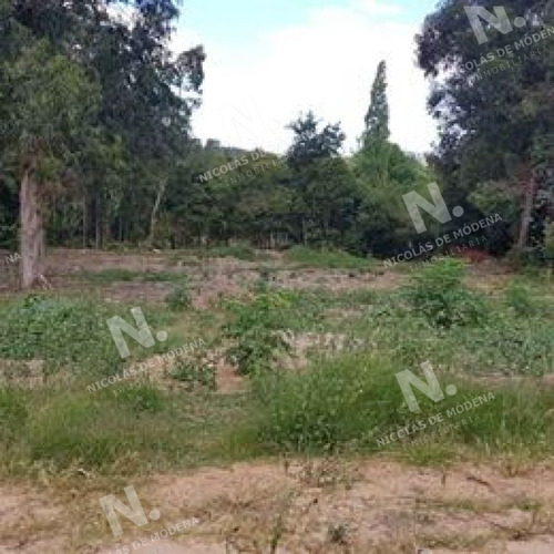 Imagen 3 de 11 de Venta Terreno - Punta Ballena Santa Hilda