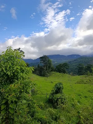 Hacienda-Finca en venta