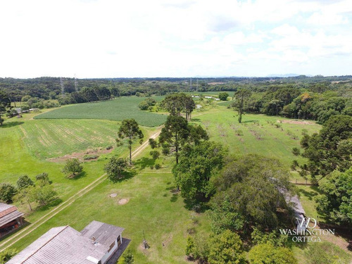 Imagem 3 de 30 de Chácara À Venda, 230302 M² Por R$ 10.900.000,00 - Cachoeira - São José Dos Pinhais/pr - Ch0084