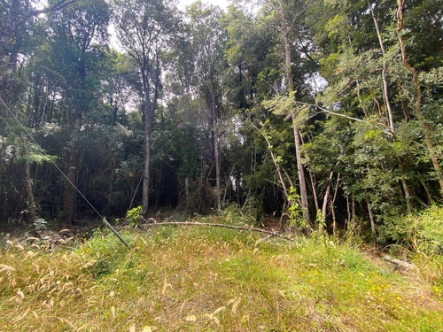 Venta De Parcela En Sendero Tres Puentes (70073)