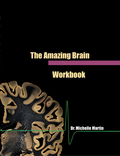 The Amazing Brain Workbook, De Martin, Michelle., Vol. 1. Editorial Lulu Pr, Tapa Blanda En Inglés