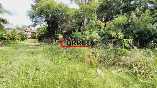 Imagem 12 de 15 de Ótima Area De 42000 M² Com Nascentes Dágua E Lago Na Rodovia Bunjiro - 524
