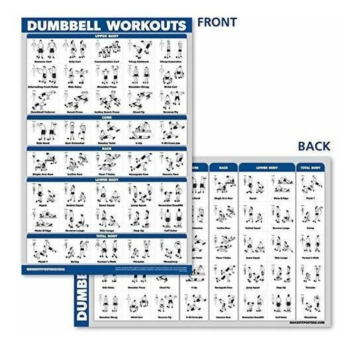 Juego Er Anatomia Muscular Entrenamiento Mancuerna 2 Tabla G