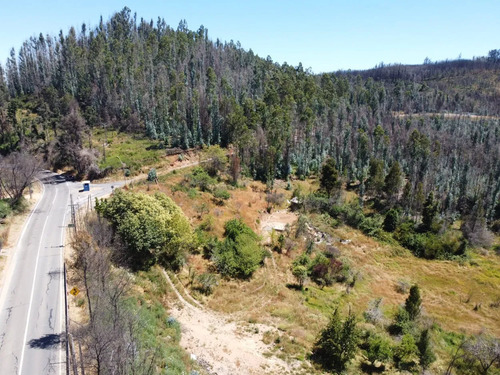 Parcela 5,1 Hectáreas Con Agua, Luz Y Bosque Nativo En Tomé