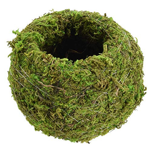 Kokedama Ko01, 4.0 X 3.5, Juego De 2, Verde