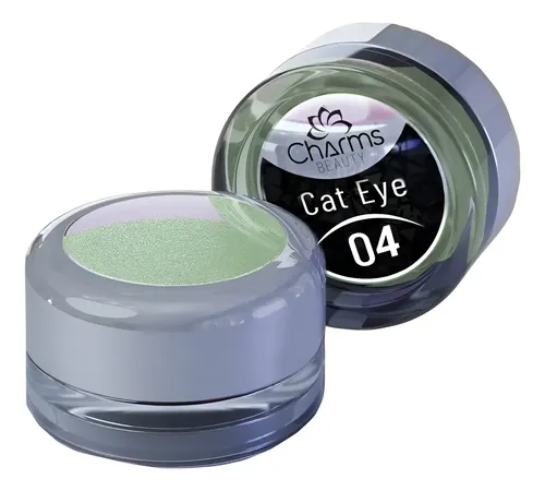 Pó Magnético E Cromado Cateye Charms Beauty 04