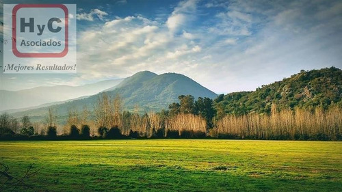 Imagen 3 de 21 de Venta Terreno 7500 M2 Con Bosque, En Idahue ¡mejor Precio!