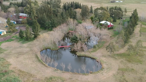 Imagen 1 de 9 de Campo/chacra En Chascomús 3 Ha - Con Emprendimiento Avícola