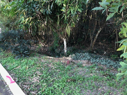 Imagem 2 de 12 de Terreno À Venda, 360 M² Por R$ 100.000,00 - Rio Do Ouro - Niterói/rj - Te2588