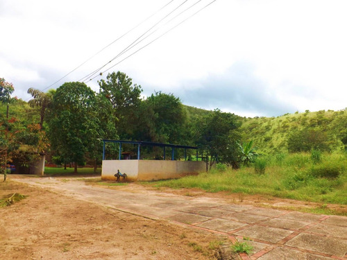 Dc224456 En Venta Hermosa Finca En Los Chaguaramos, Sabaneta Norte - Montalbán Carabobo