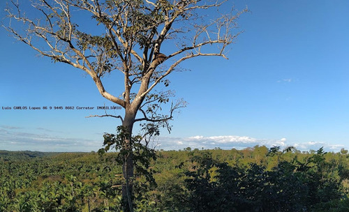 Imagem 6 de 14 de Terreno Para Venda Em Teresina, Morros - Lote Coli_2-1229049