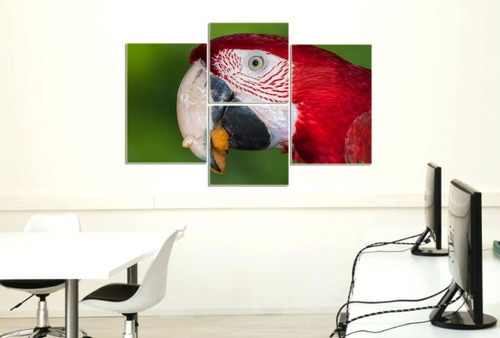 Cuadro 60x90cm Guacamayo Ara Ave Exotica Loro Selva M3