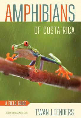 Libro Amphibians Of Costa Rica : A Field Guide - Twan Lee...