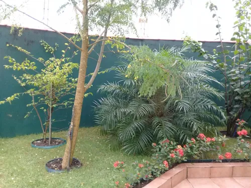 Casa Térrea C/ 3 Quartos, 2 Banheiros - São João Batista Ll Peruíbe/sp