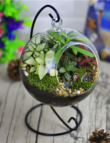 24 Piezas Adornos Jardín Miniatura Animales Del Jardín Hadas