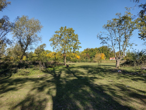 Imagen 6 de 21 de Terreno En Venta - La Lonja - Pilar
