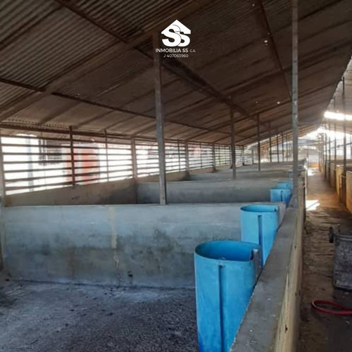 Finca En Venta - Guárico - Granja De Porcina