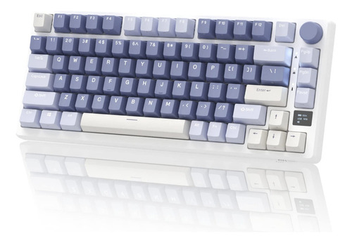 Teclado Mecánico Rk Royal Kludge M75 Bt5.1/2.4g/usb-c