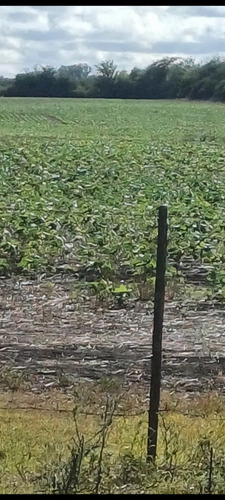 Campo 27 Hectareas Rosario Del Tala Soja Trigo Sorgo