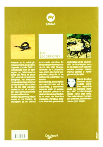Los Escorpiones . Especies, Comportamiento, Reproduccion, Al