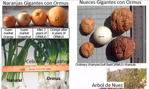 Ormus Concentrado Adicionado Con Oro Plata Y Cobre 500 Ml (Usado)
