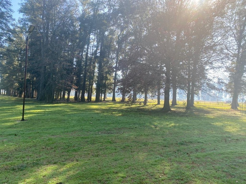 Imagen 12 de 19 de Venta Lote Villa De Campo Tres Pinos Barrio Estribo Gral Rodriguez