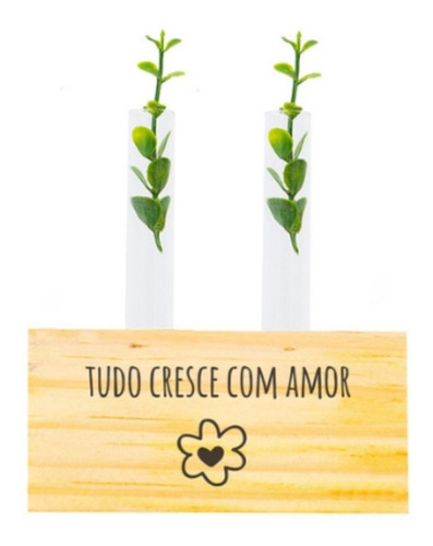 Mini Vaso Decorativo De Madeira E Vidro Tudo Cresce Com Amor
